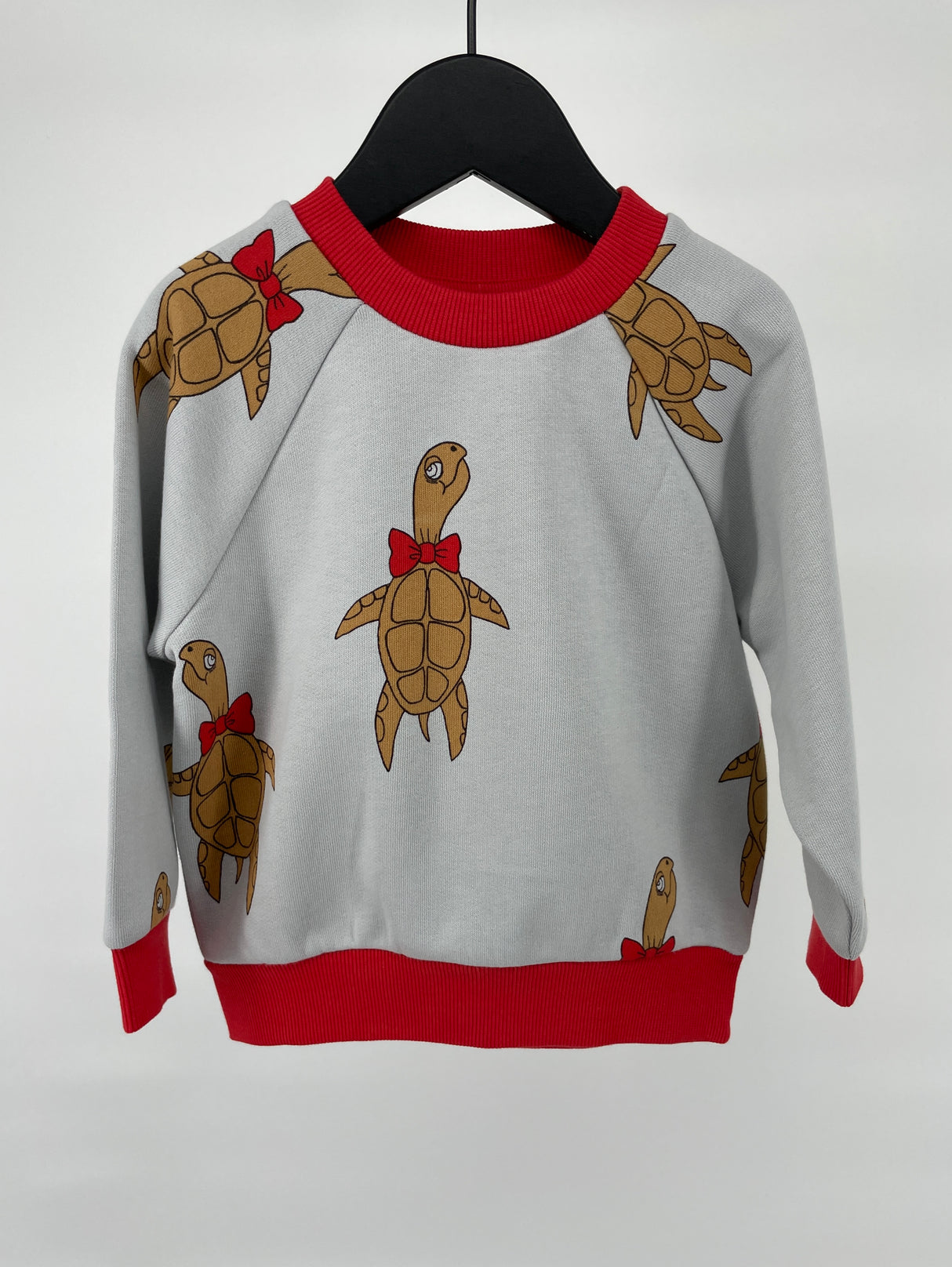 Trui Grijs Schildpadden Maat 80 / 86