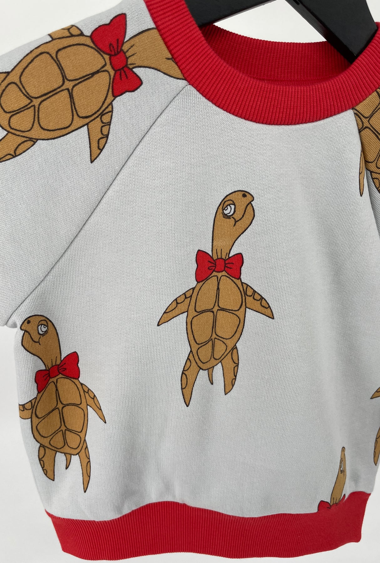 Trui Grijs Schildpadden Maat 80 / 86