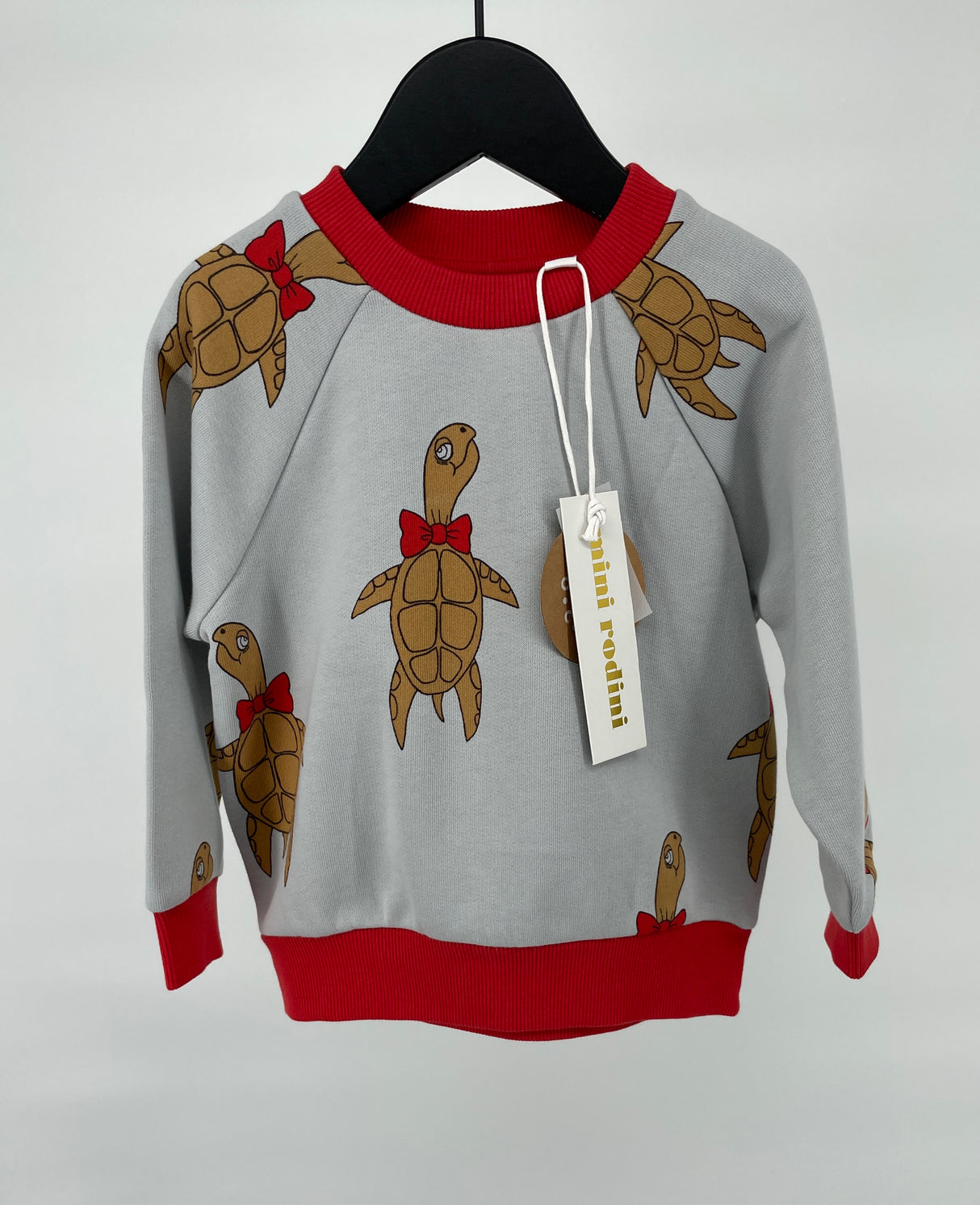 Trui Grijs Schildpadden Maat 80 / 86
