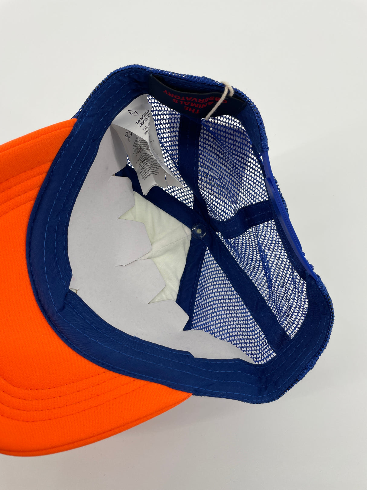 Pet Oranje Blauw Los Animals