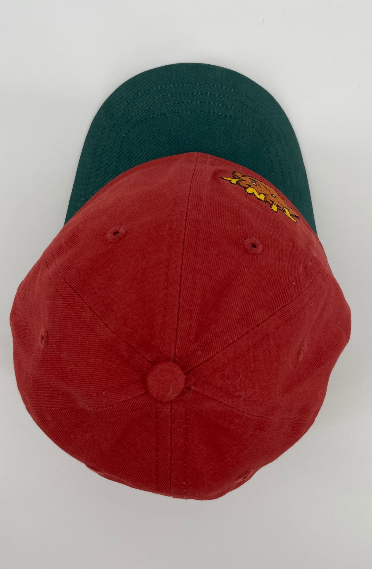 Pet Bruin Groen Hond Maat 2 - 5 Jaar