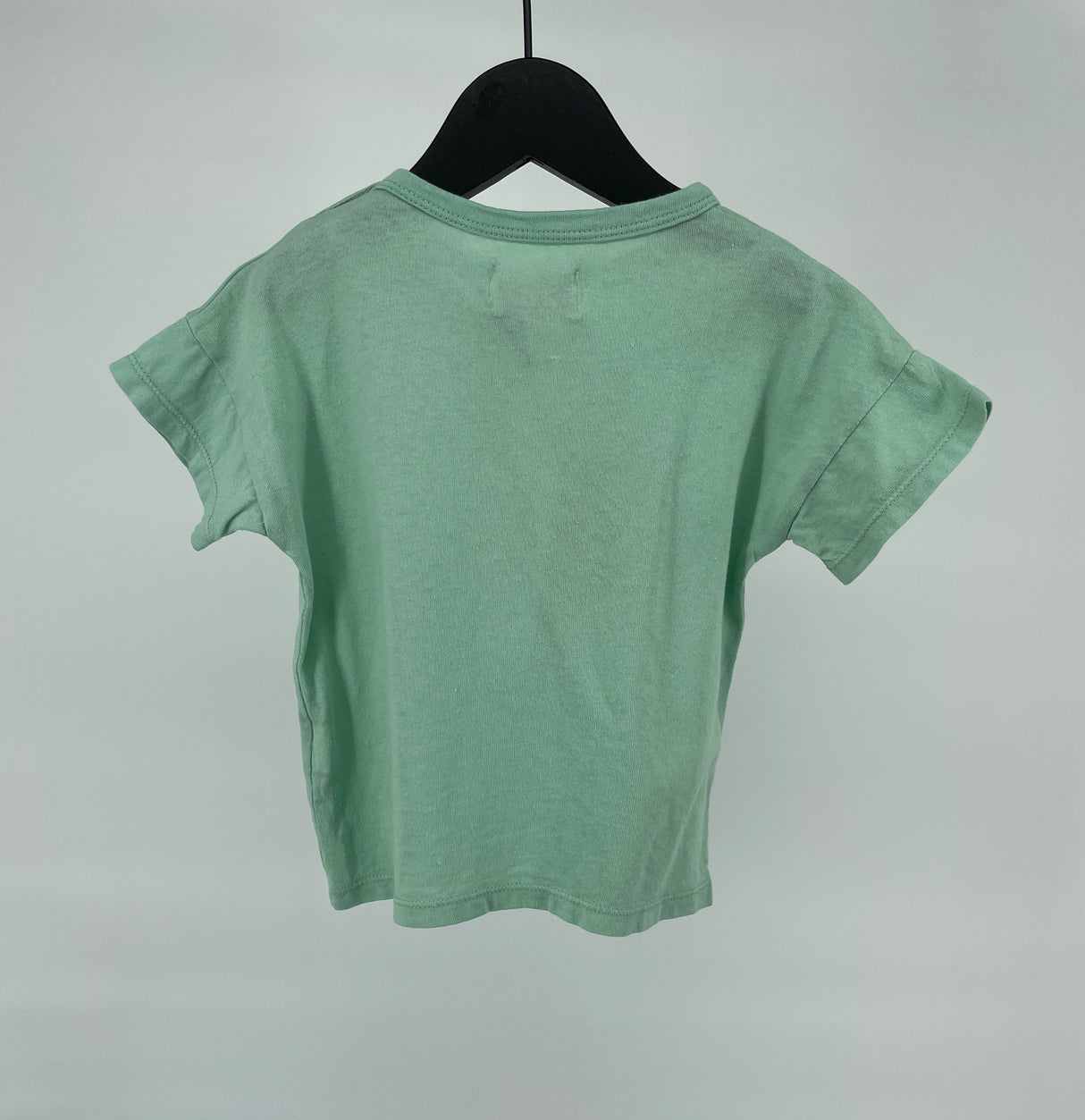 T-shirt Groen Leeuw Maat 80 / 86