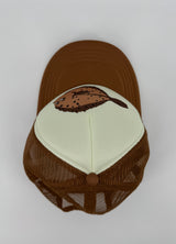 Pet Bruin Vis Maat 3 - 9 Jaar